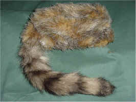 Davy Crockett Hat